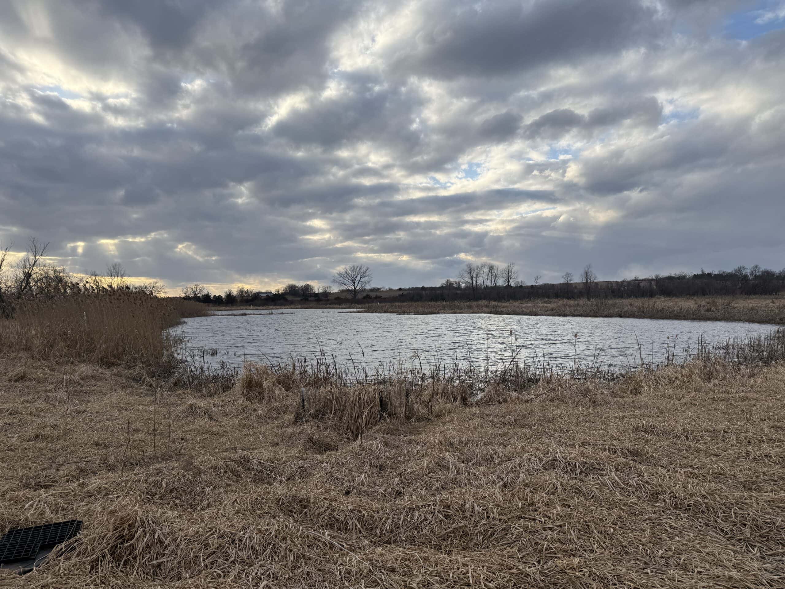 44± Acre Premier Duck and Deer Hunting Property Marquette Cty WI