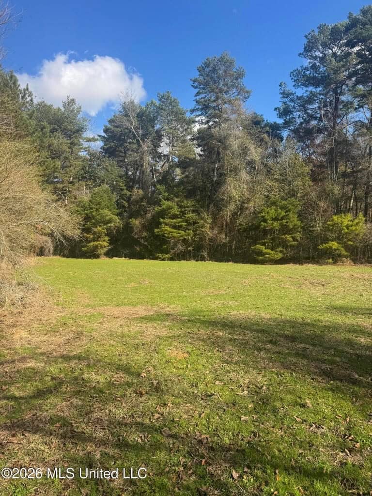 South Mississippi Hunting Land for Sale in Walthall County