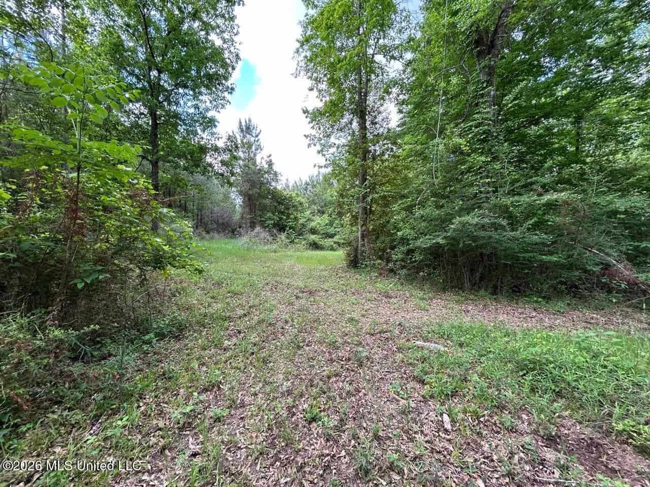 47 Acres in St. Helena Parish, LA with Black Creek