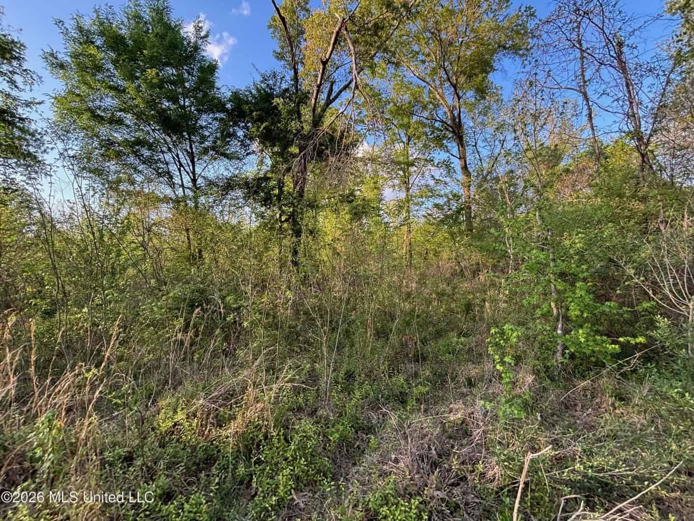77 Acres in Edwards, MS Hinds County Big Black River Region