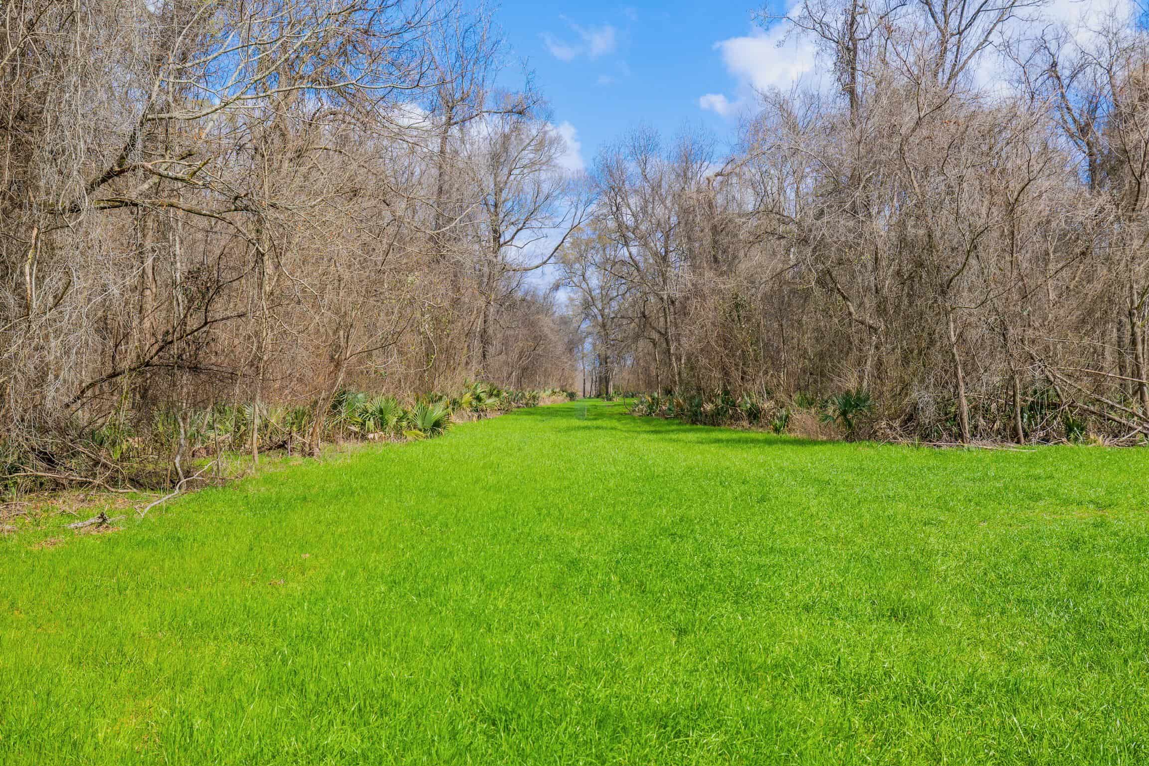 1,196+/- Acre Deer & Duck Hunting Paradise Tensas Parish, LA