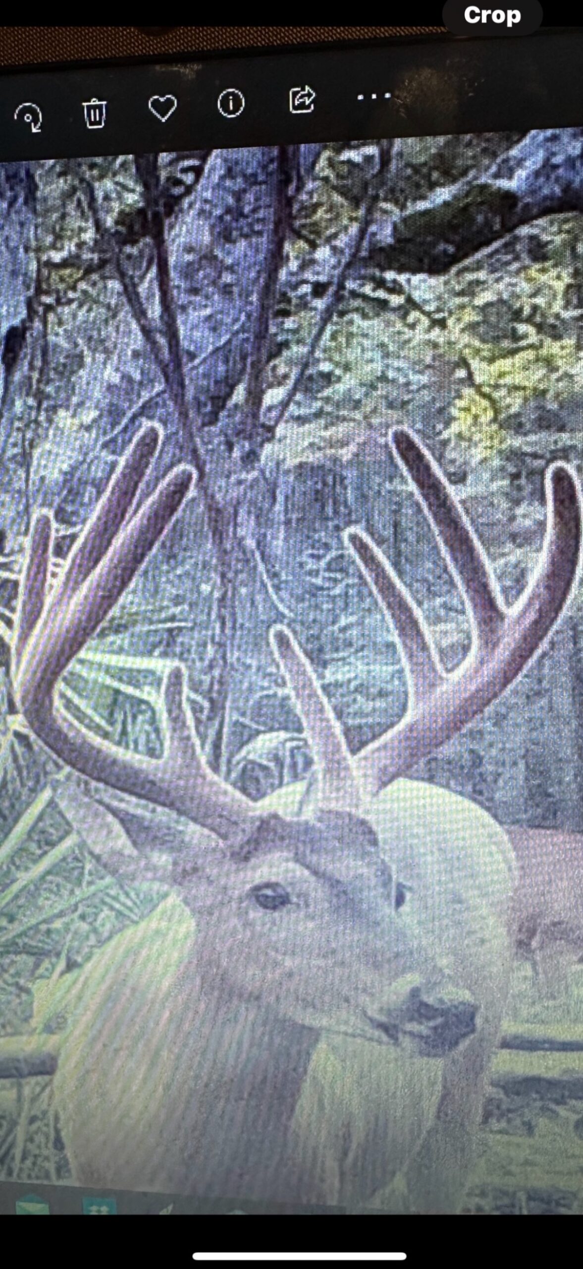 330+/- Acre Deer and Duck Hunting Property with a Camp