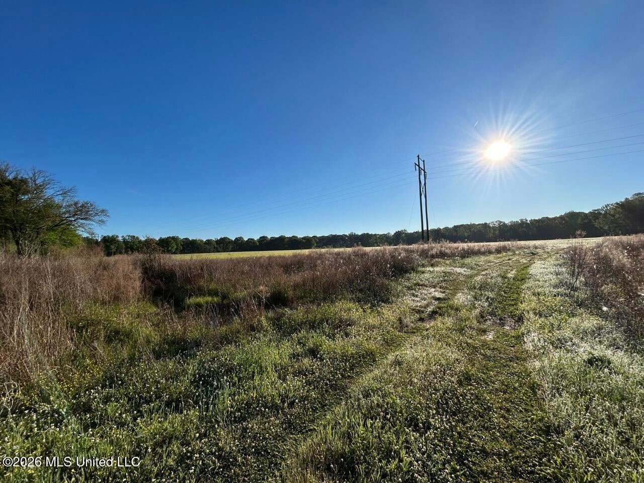 266± Acres Hinds/Copiah Line with Creek and Income
