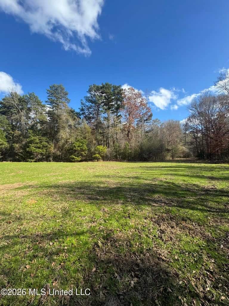 South Mississippi Hunting Land for Sale in Walthall County