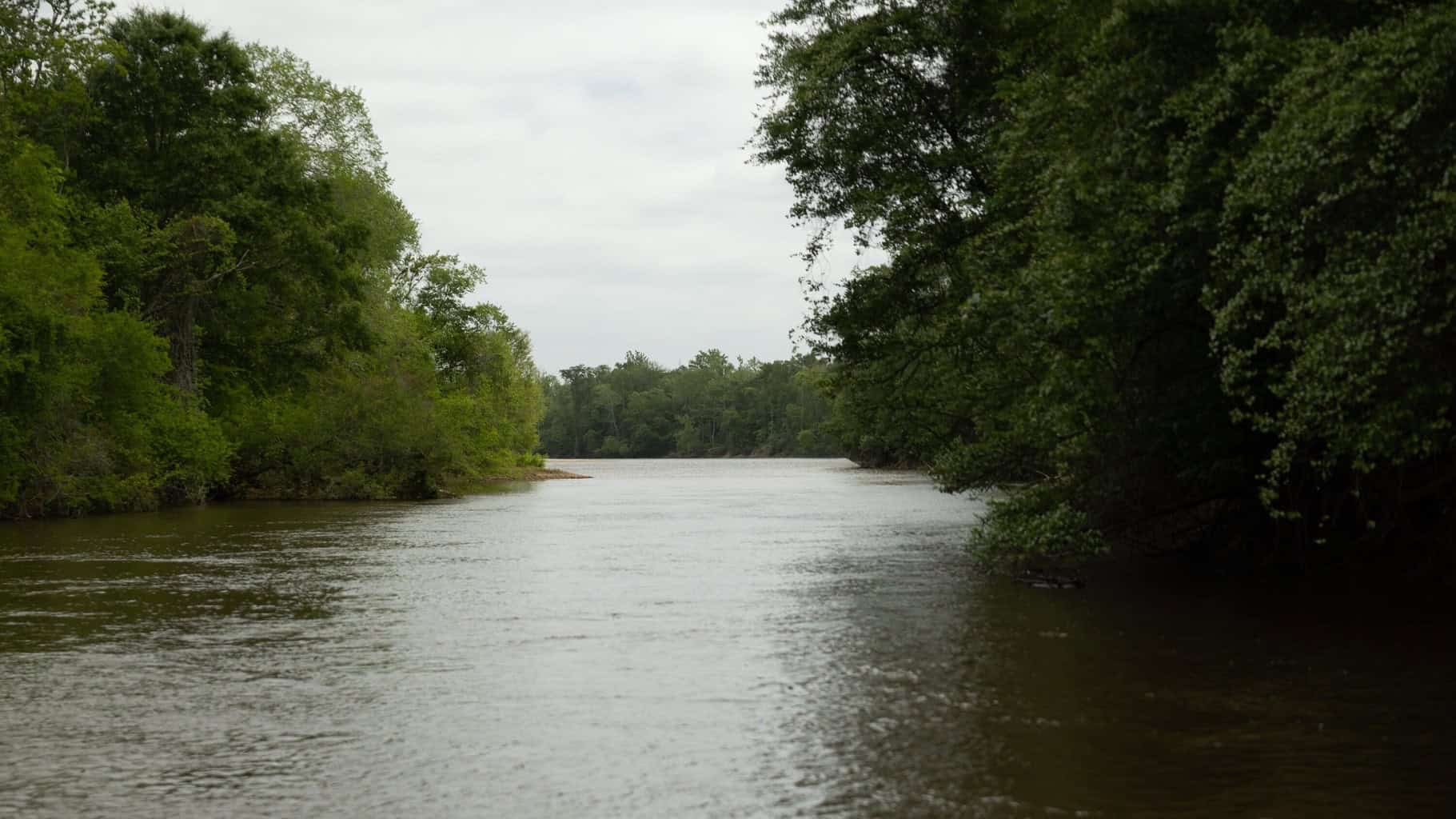385 Acres Pearl River Frontage Louisiana