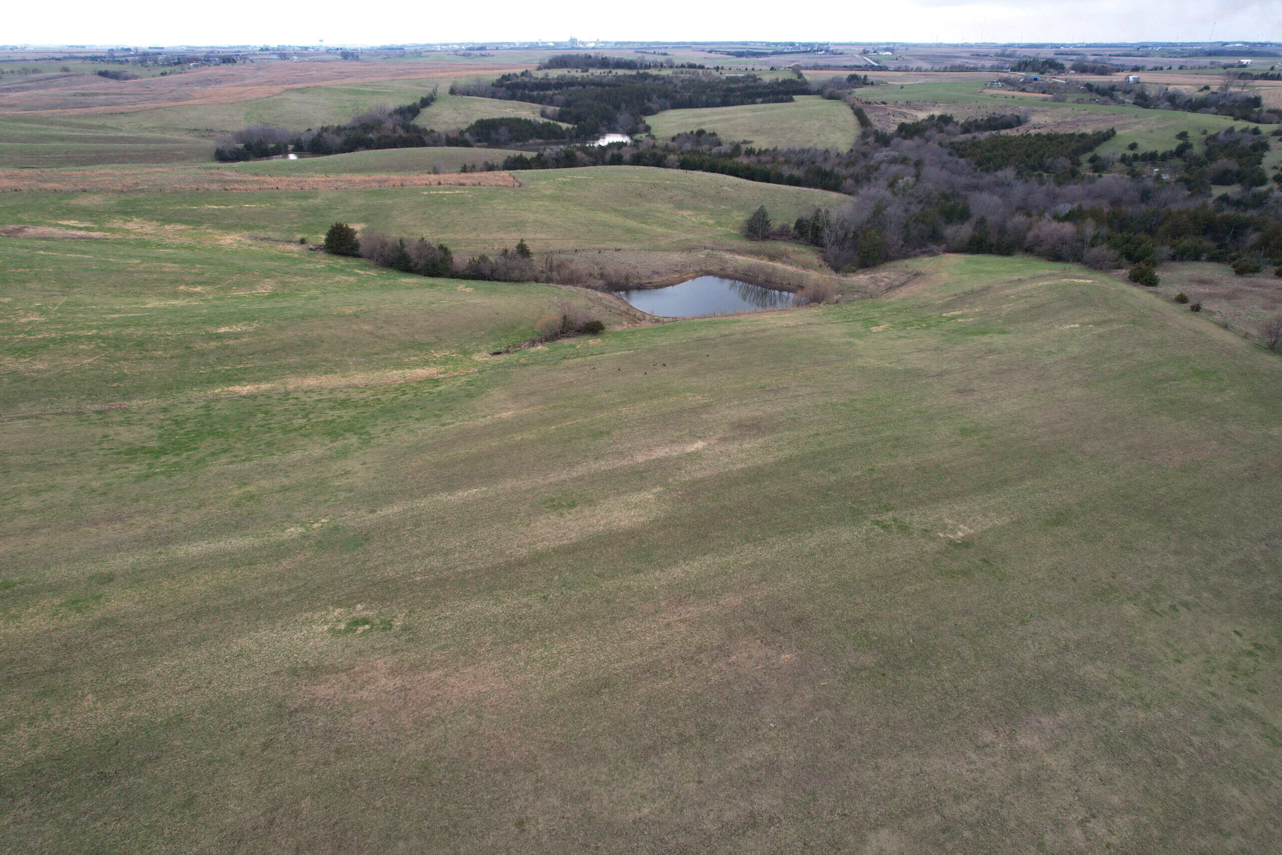 Southwest Iowa Income Producing Combination Farm