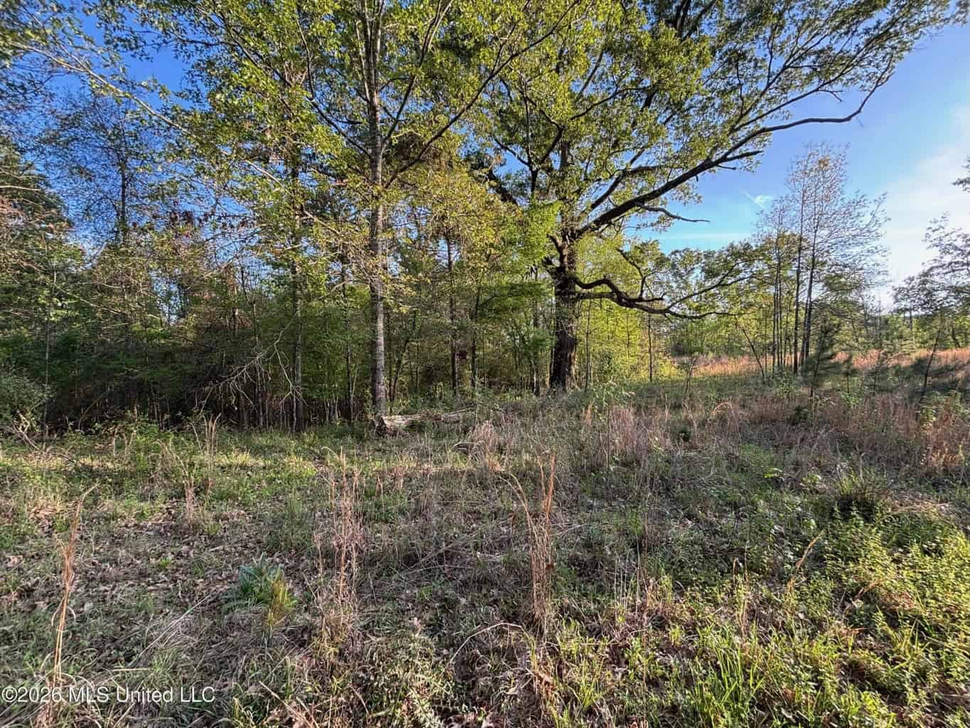 77 Acres in Edwards, MS Hinds County Big Black River Region