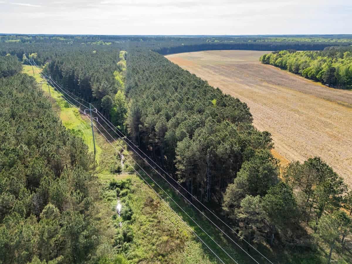 455 Acres Hunting & Income Land in Choctaw County MS