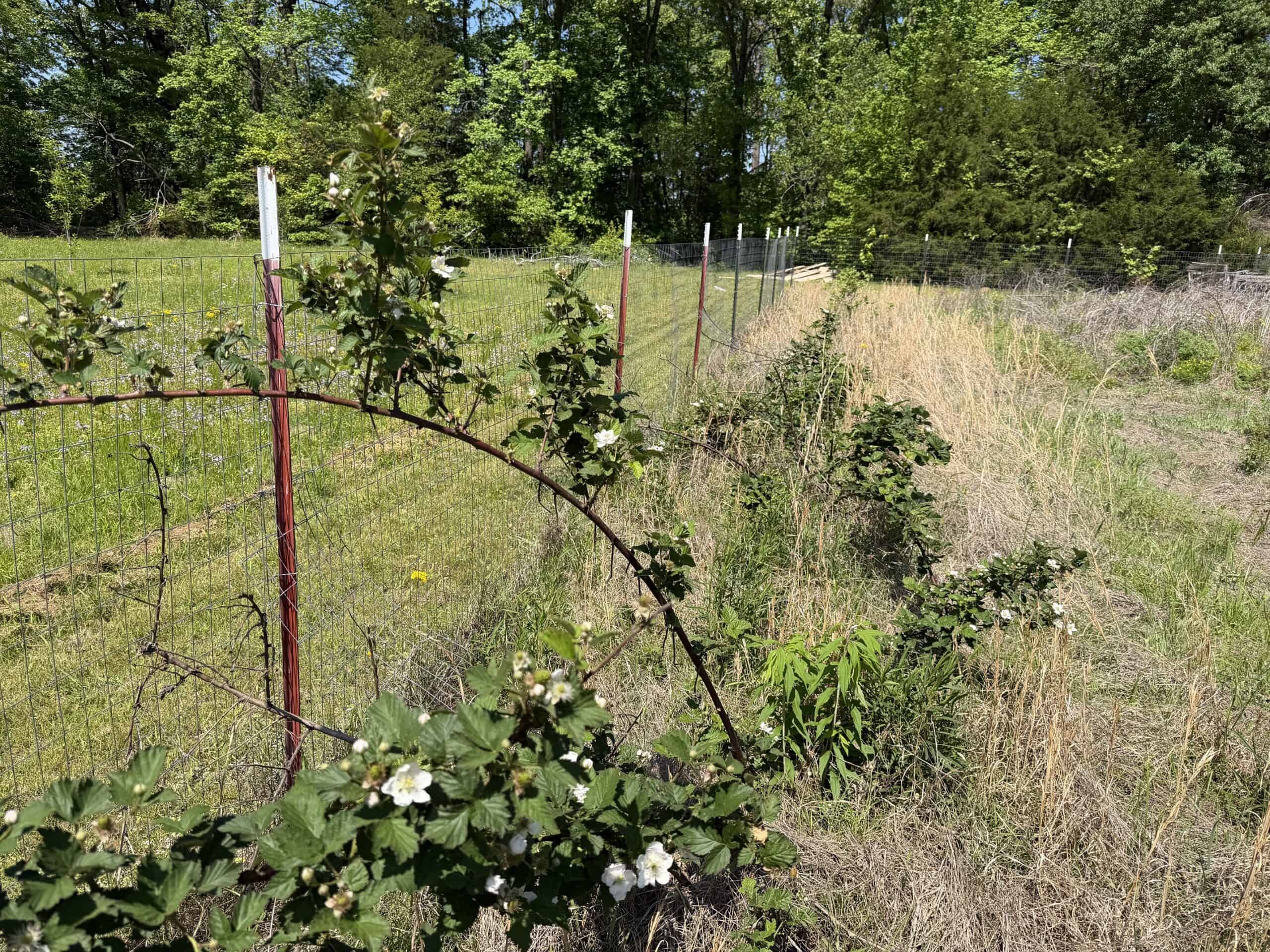 PRIVATE COUNTRY HOME FOR SALE IN TN 35 AC SHOP CREEK FIELDS