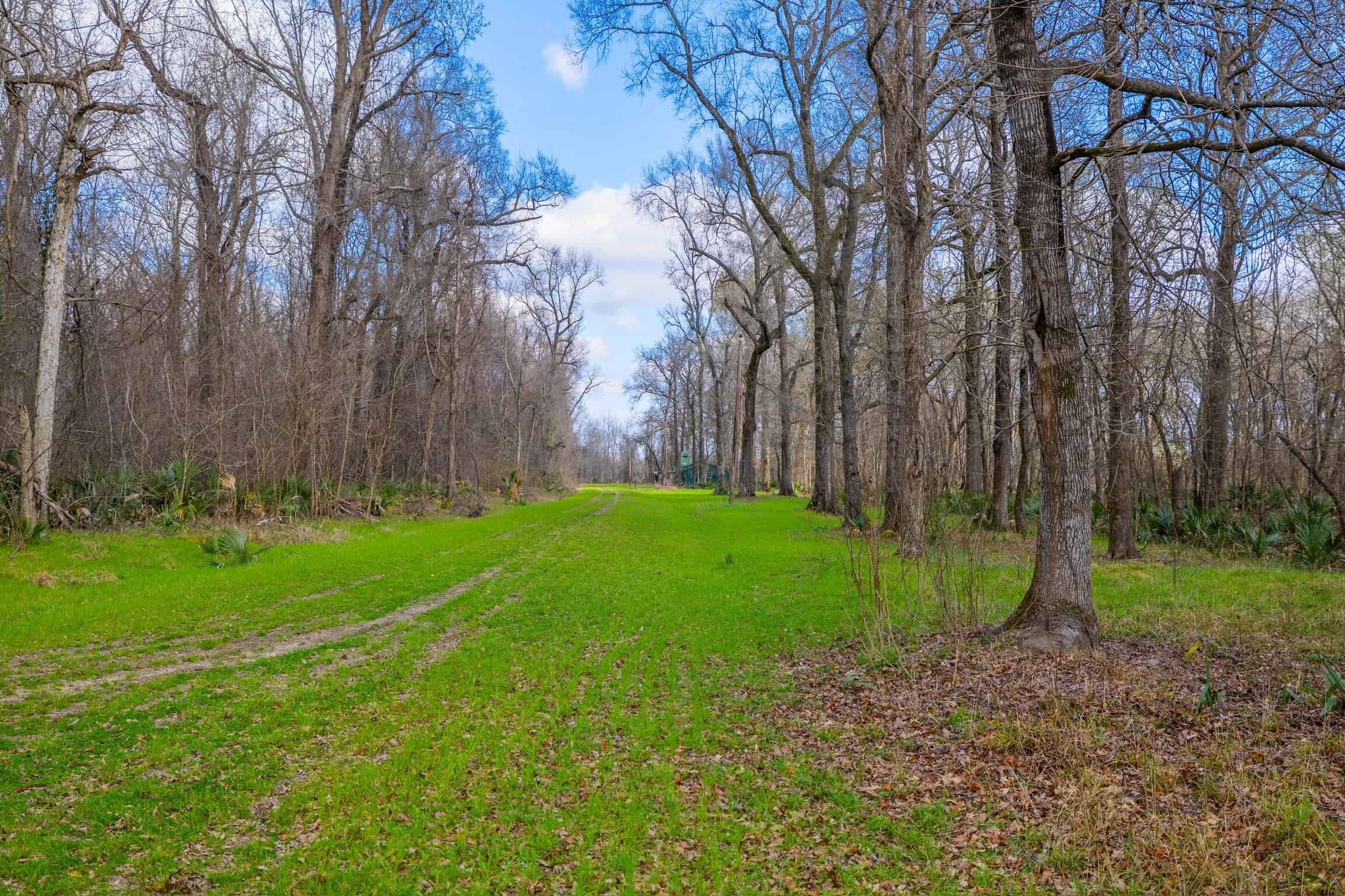 525+/- Acre Hunting Lodge for Sale in Sportsmans Paradise