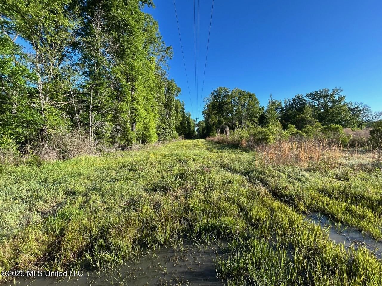 266± Acres Hinds/Copiah Line with Creek and Income