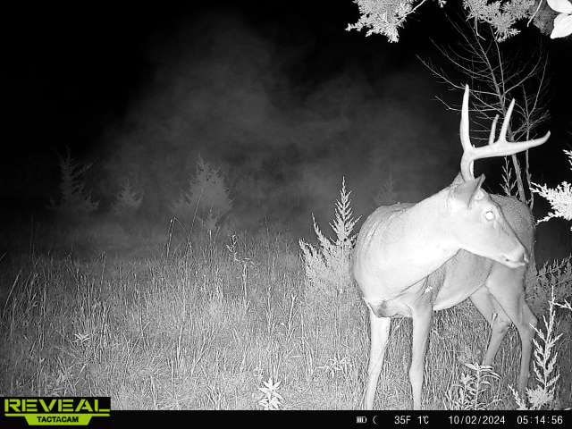 44± Acre Premier Duck and Deer Hunting Property Marquette Cty WI