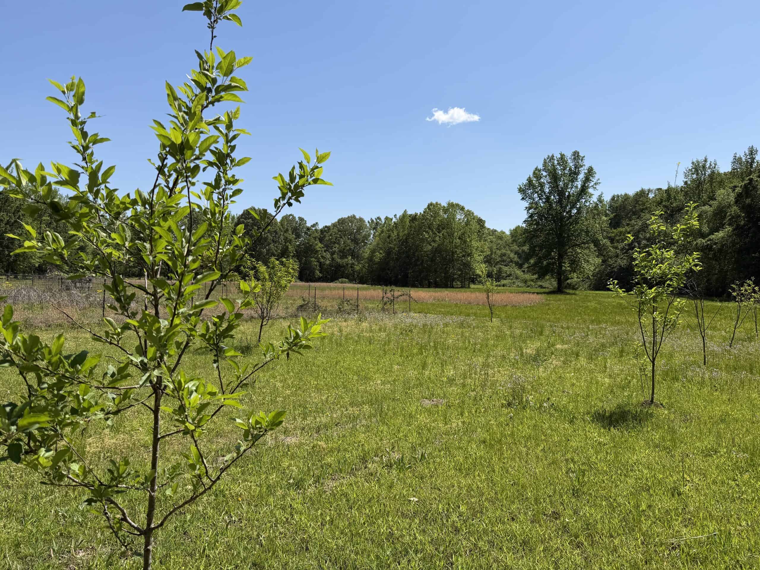 PRIVATE COUNTRY HOME FOR SALE IN TN 35 AC SHOP CREEK FIELDS