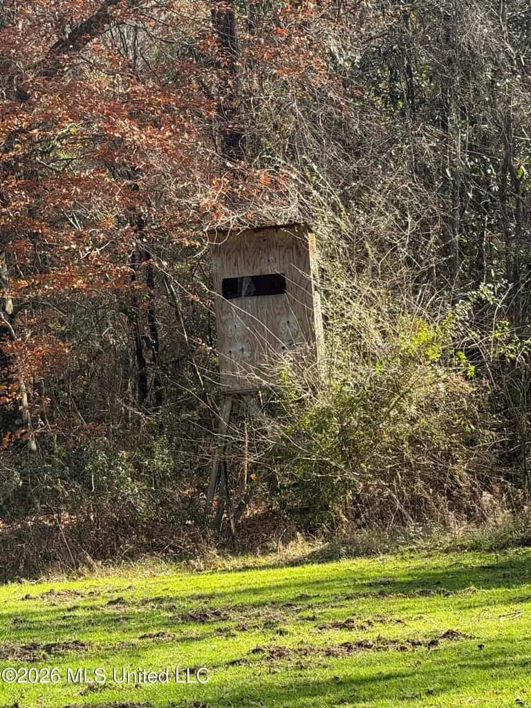 South Mississippi Hunting Land for Sale in Walthall County
