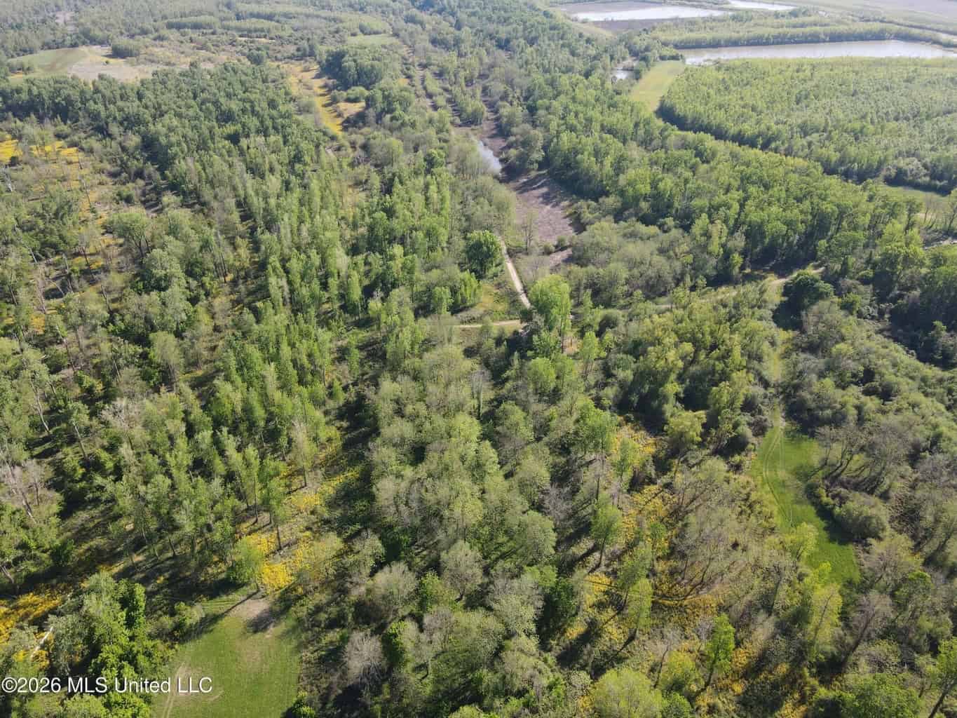 Duckport Legacy Waterfowl and Whitetail Recreational Tract