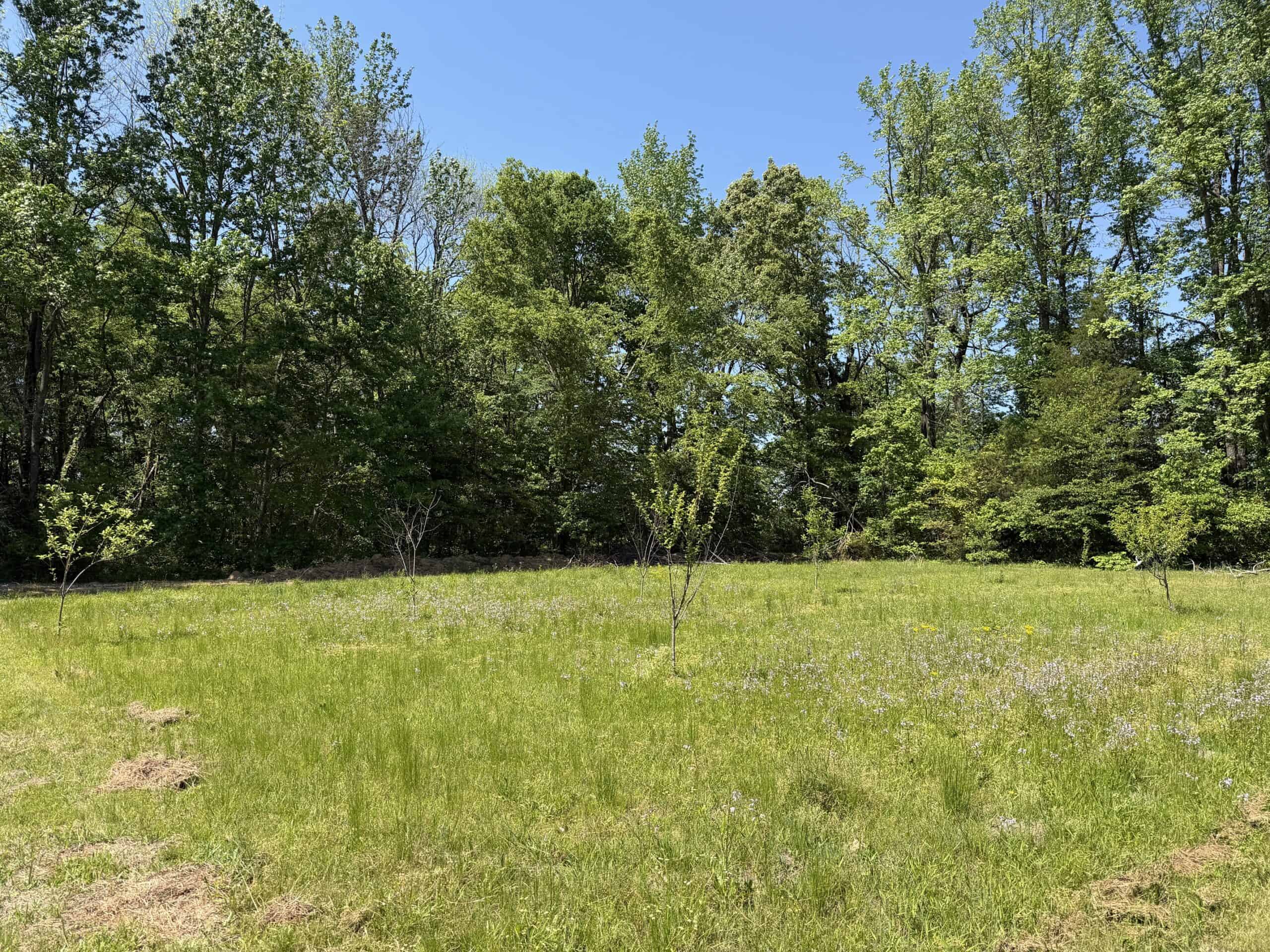 PRIVATE COUNTRY HOME FOR SALE IN TN 35 AC SHOP CREEK FIELDS