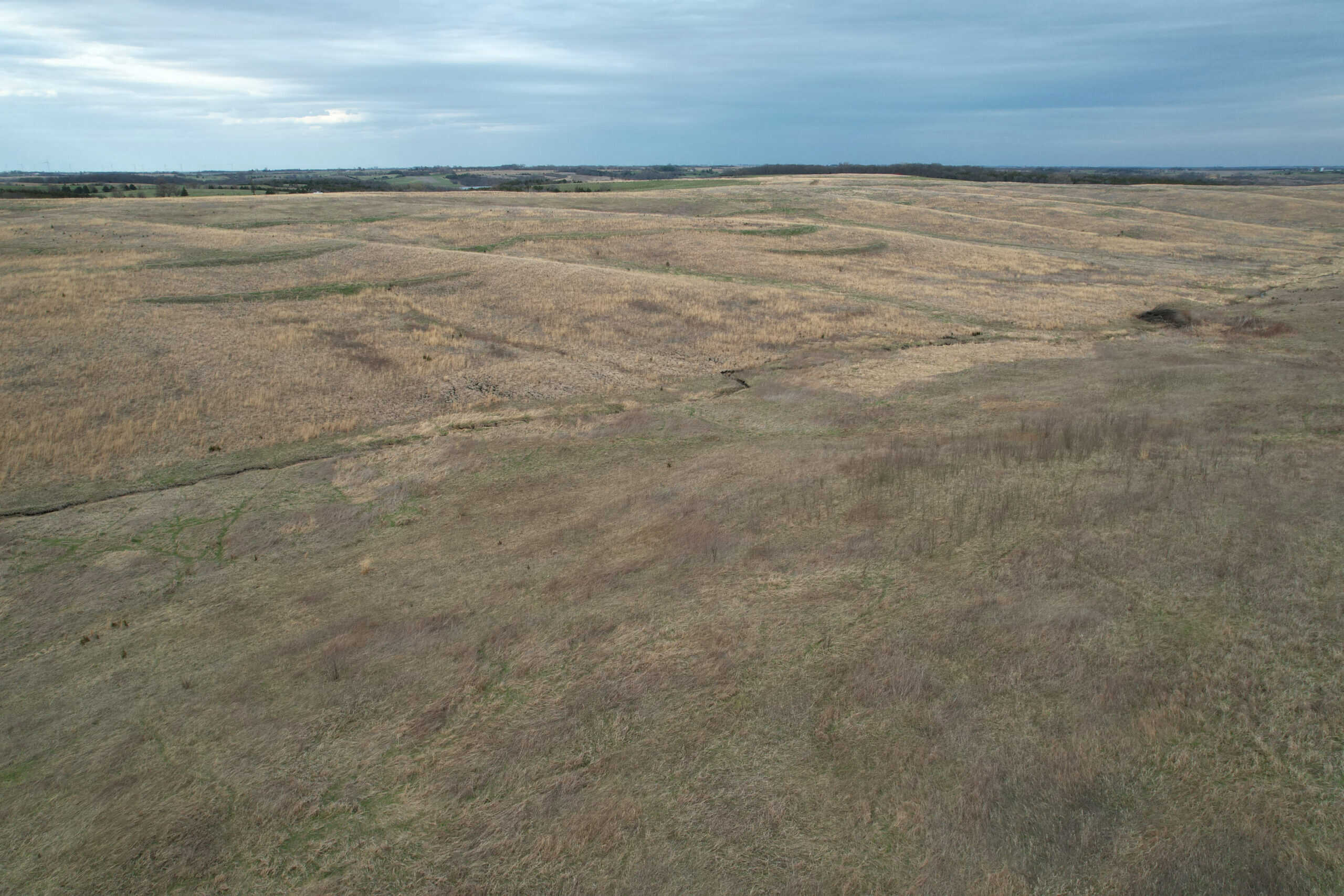 Southwest Iowa Recreational CRP Farm