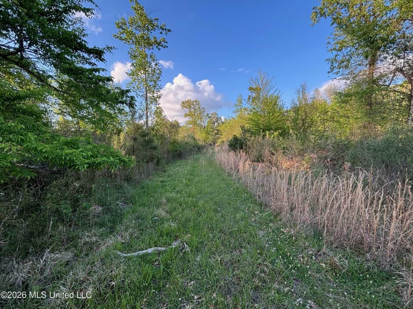 77 Acres in Edwards, MS Hinds County Big Black River Region