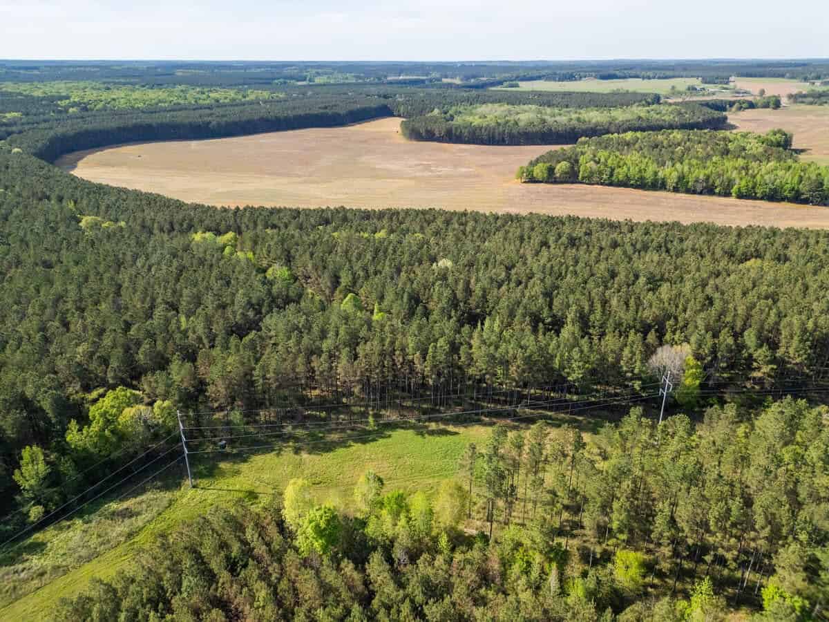 455 Acres Hunting & Income Land in Choctaw County MS