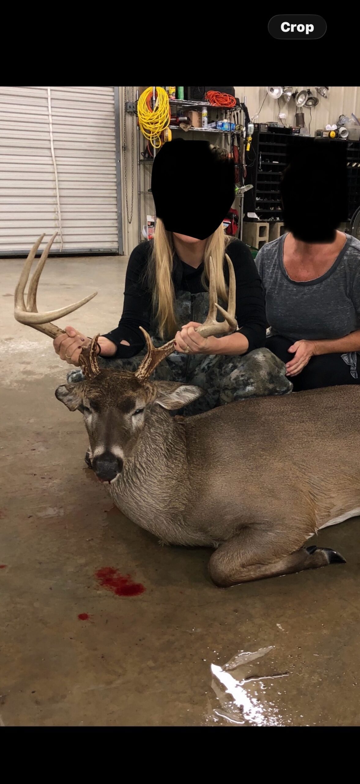 330+/- Acre Deer and Duck Hunting Property with a Camp