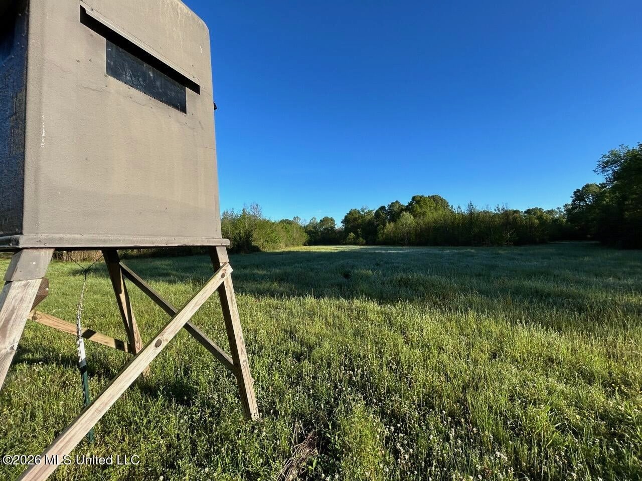 266± Acres Hinds/Copiah Line with Creek and Income