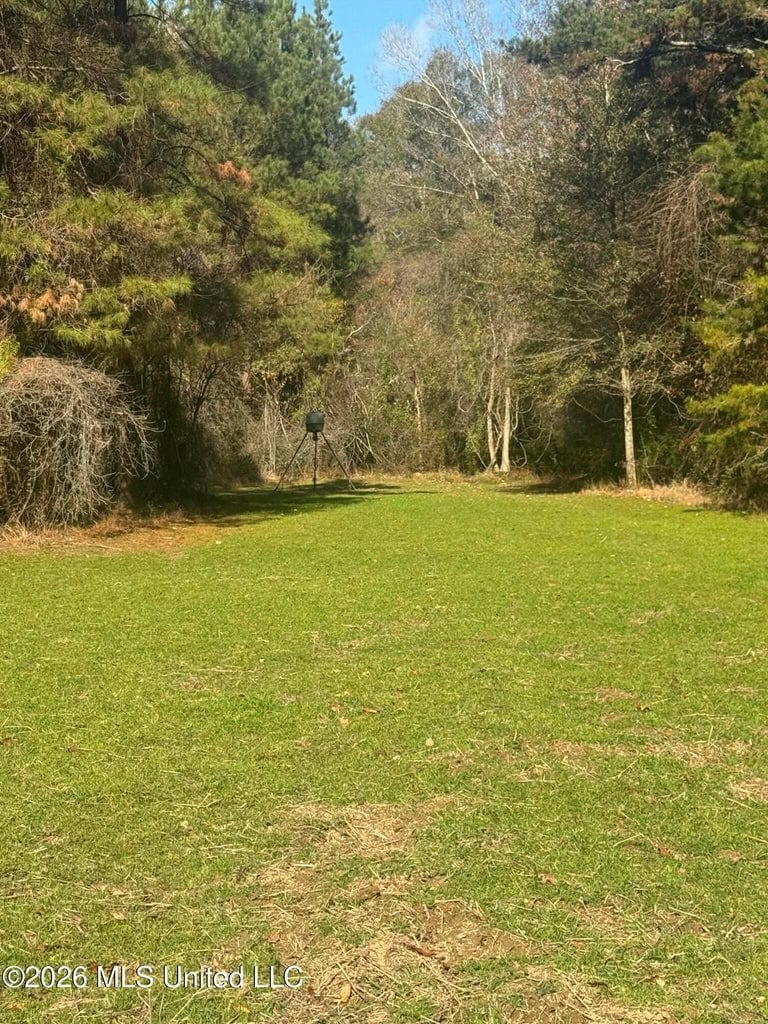 South Mississippi Hunting Land for Sale in Walthall County