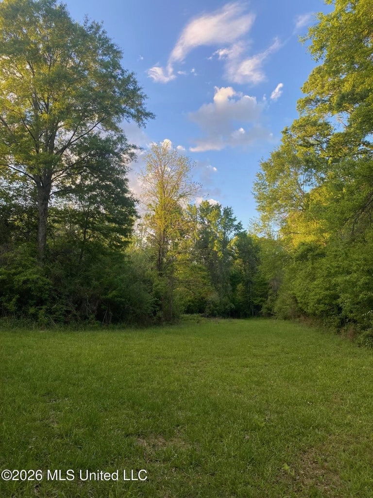 Hunting and Recreational Land for Sale in Amite County, Miss