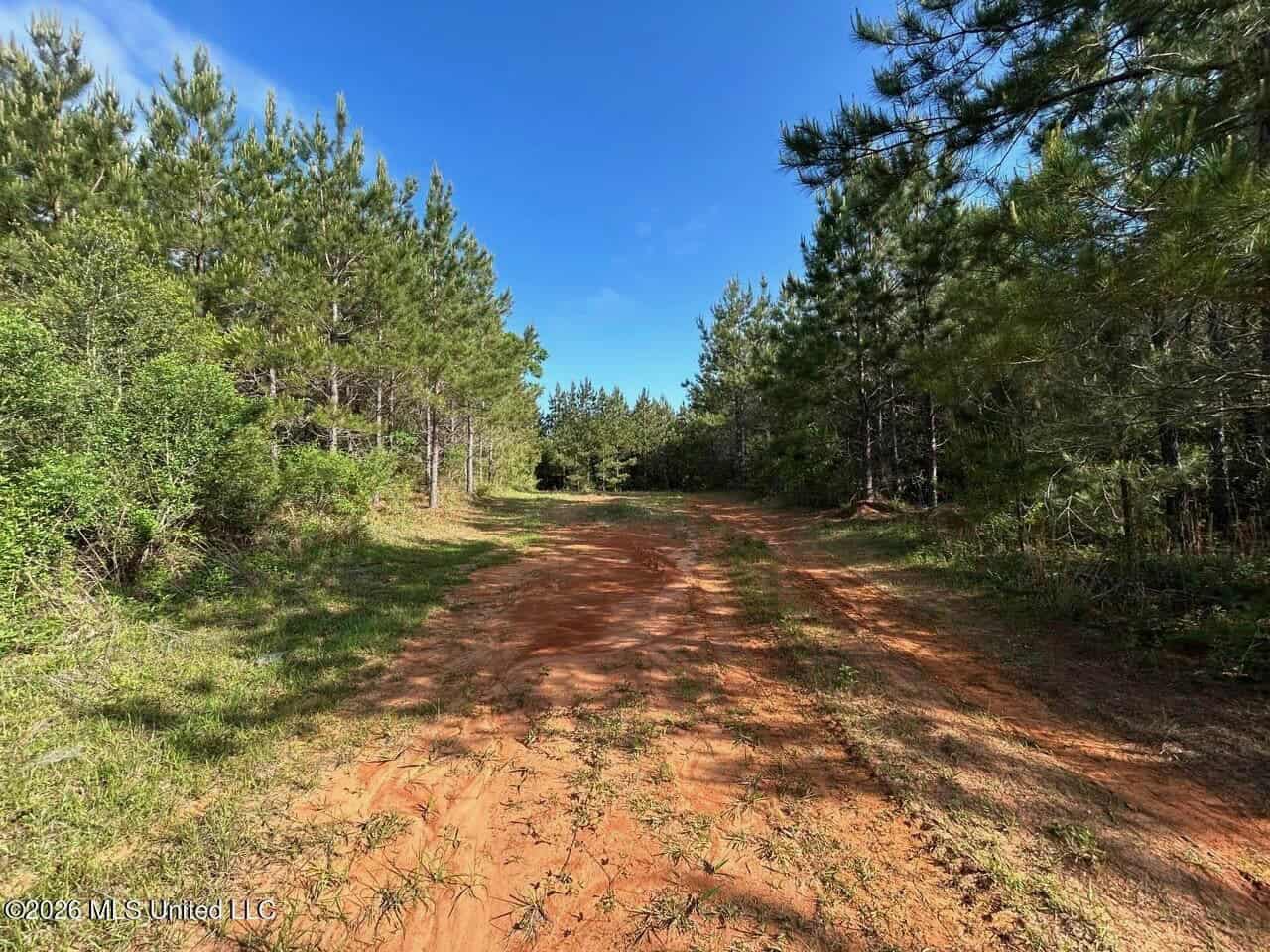 46 Acres in St. Helena Parish, LA Hunting Property for Sale