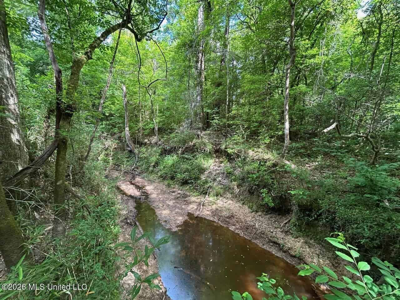 47 Acres in St. Helena Parish, LA with Black Creek