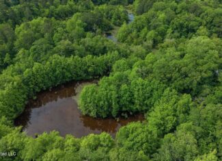 23 Acres of Riverfront Property with Sand Bar and Cabins
