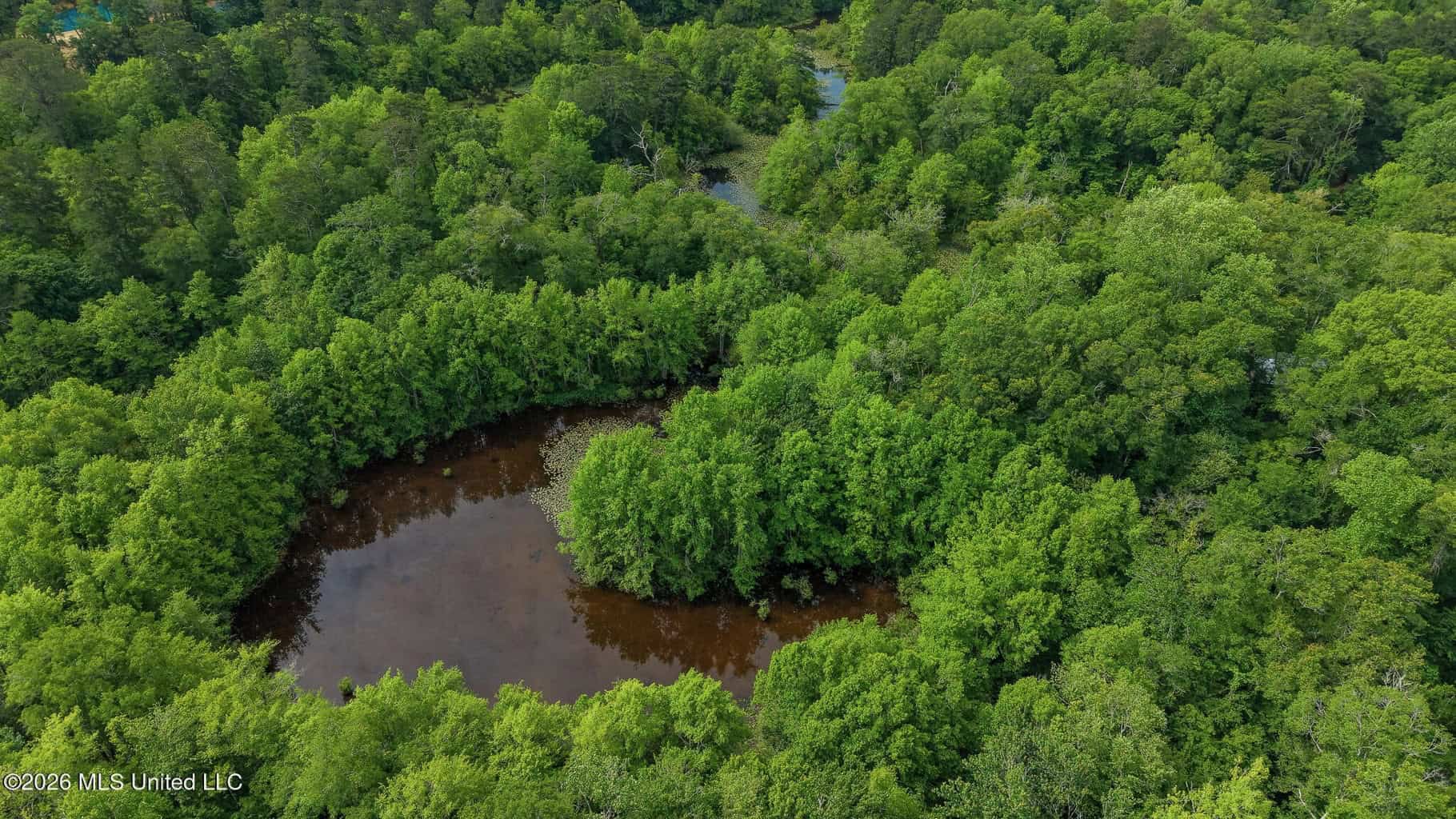 23 Acres of Riverfront Property with Sand Bar and Cabins