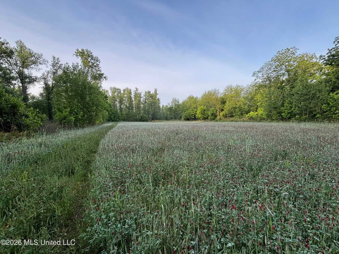 Duckport Legacy Waterfowl and Whitetail Recreational Tract