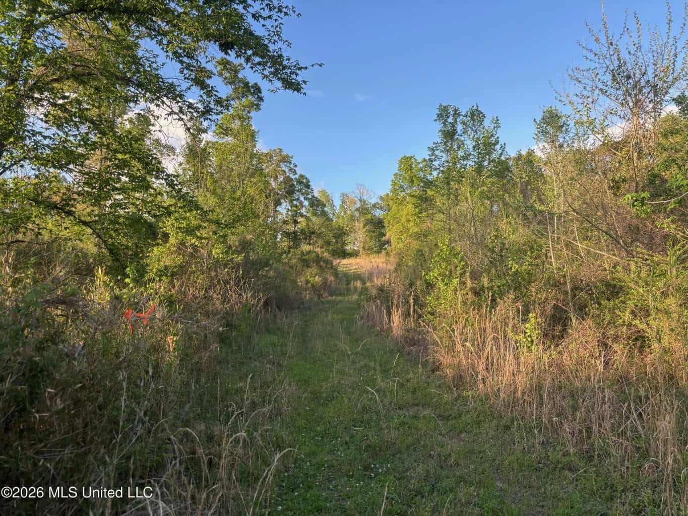 77 Acres in Edwards, MS Hinds County Big Black River Region