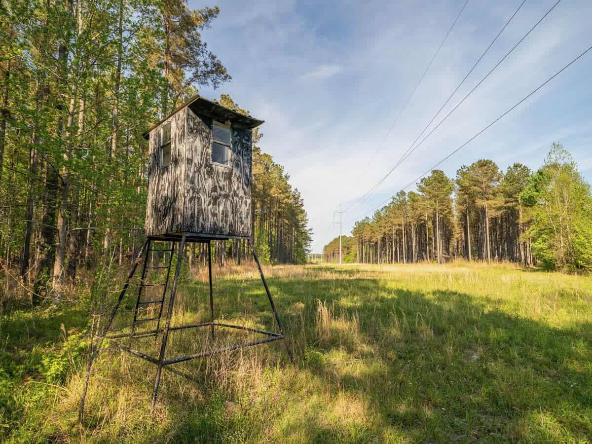 455 Acres Hunting & Income Land in Choctaw County MS
