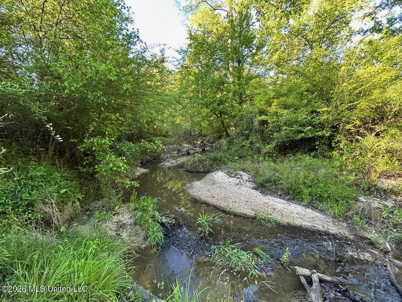 266± Acres Hinds/Copiah Line with Creek and Income