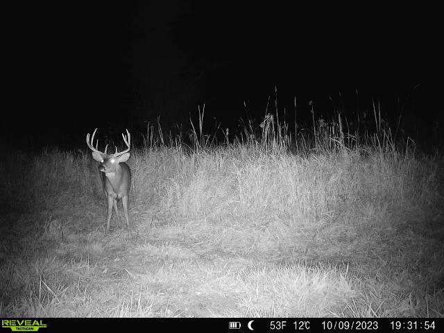 44± Acre Premier Duck and Deer Hunting Property Marquette Cty WI