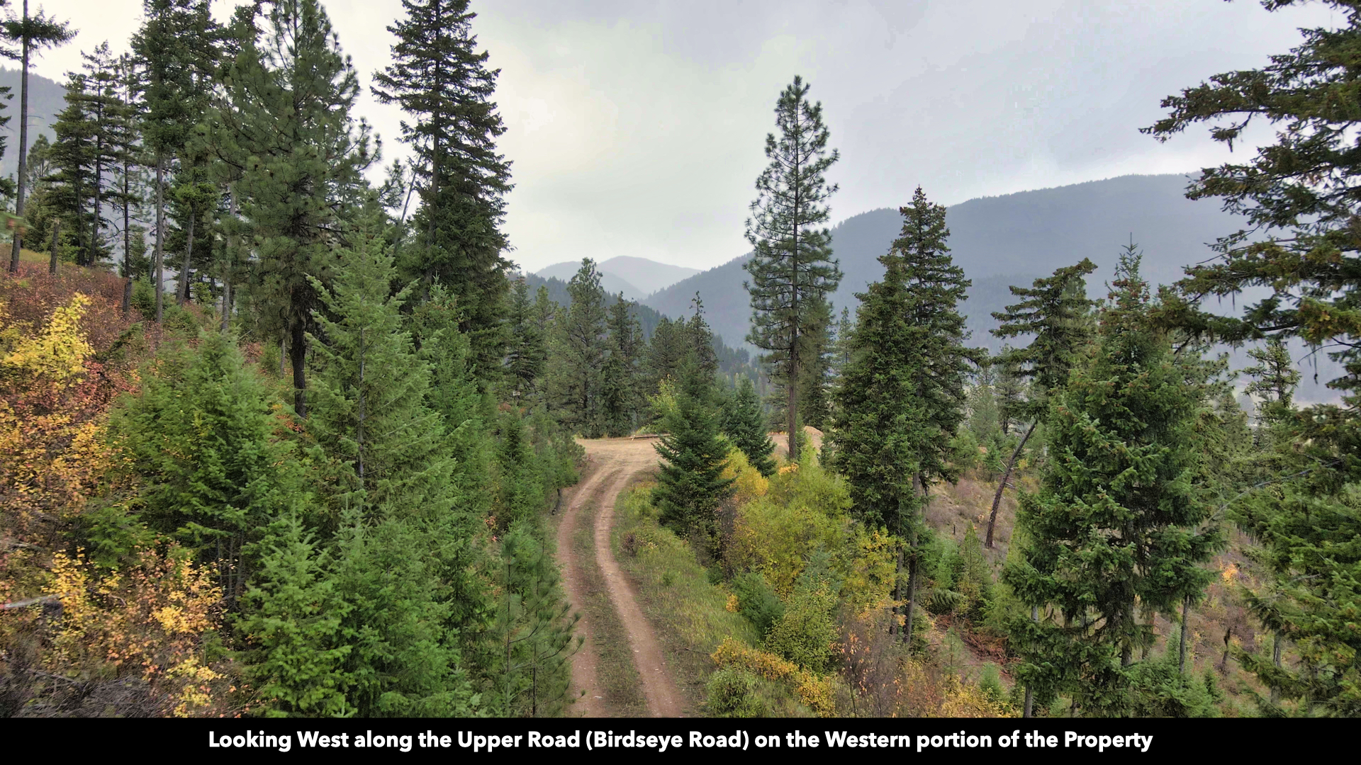 Riverfront Acreage For Sale in St. Regis, Montana