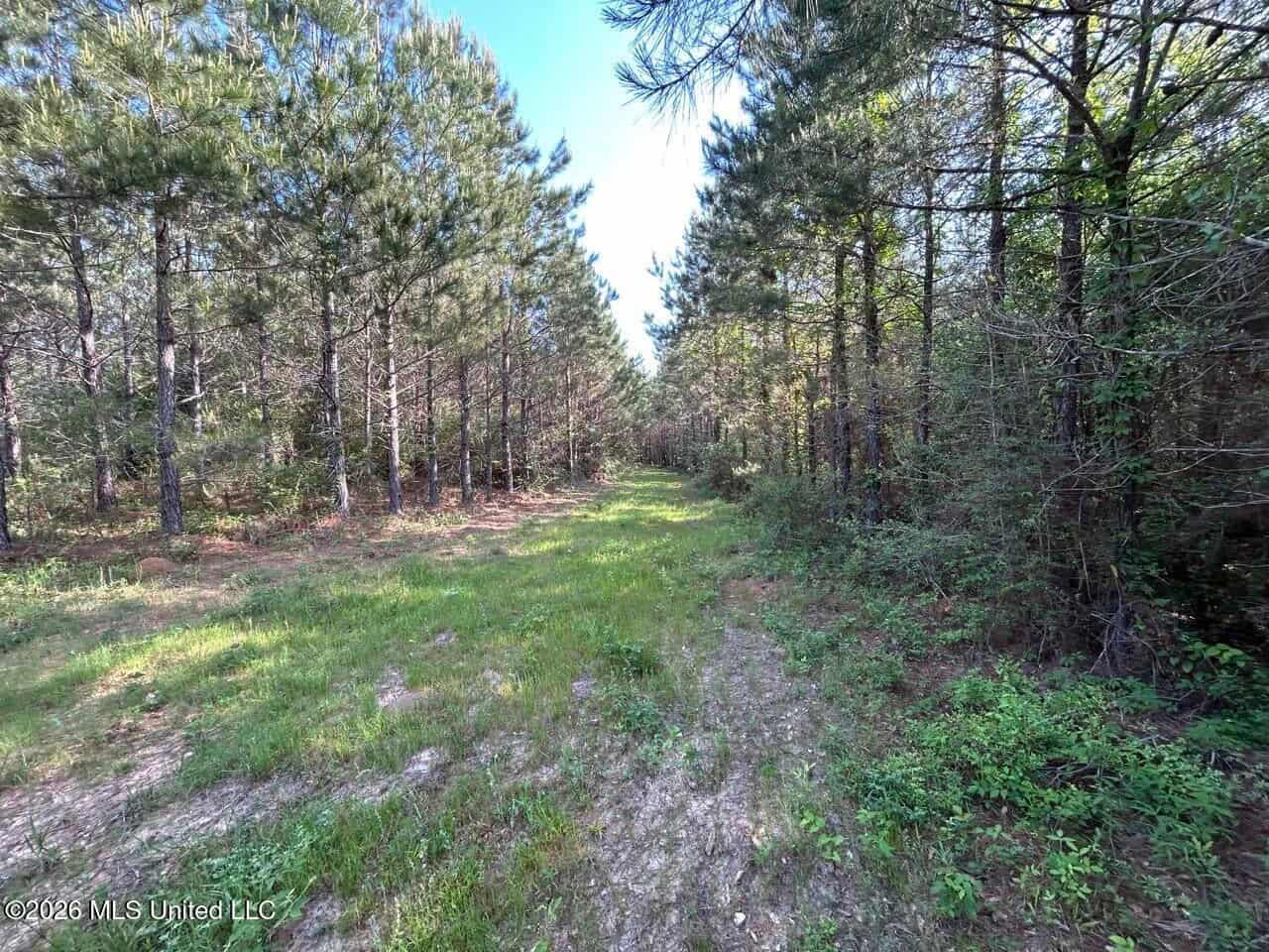 46 Acres in St. Helena Parish, LA Hunting Property for Sale