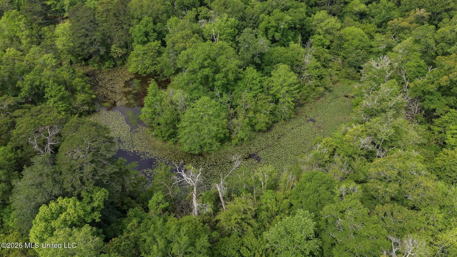 23 Acres of Riverfront Property with Sand Bar and Cabins