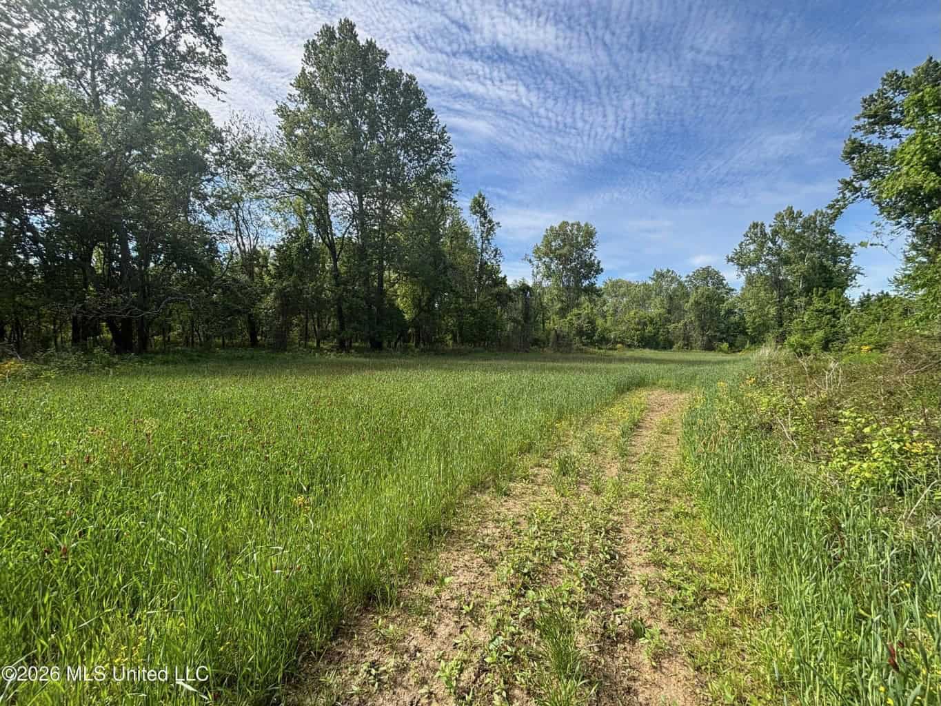 Duckport Legacy Waterfowl and Whitetail Recreational Tract