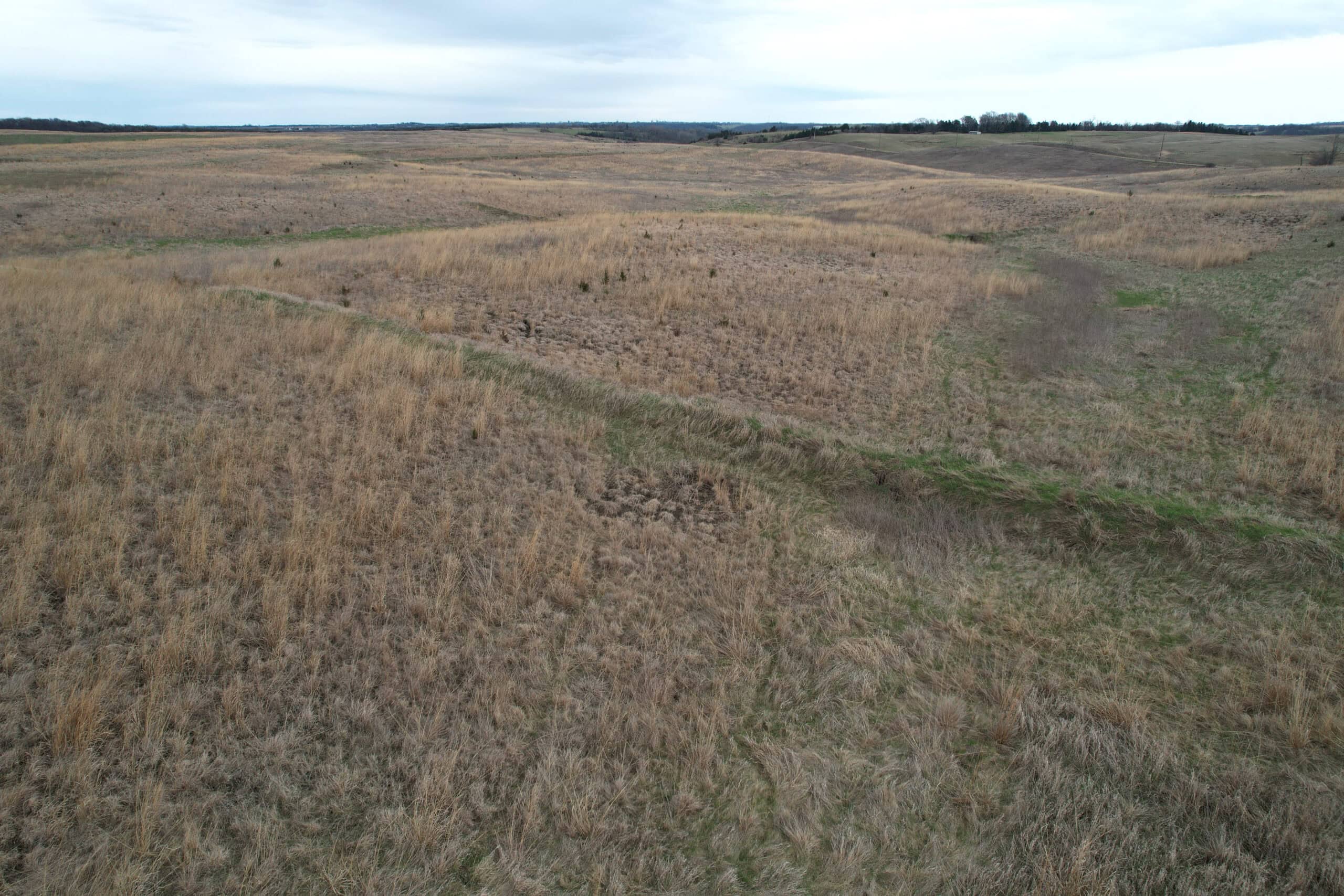 Southwest Iowa Income Producing Combination Farm