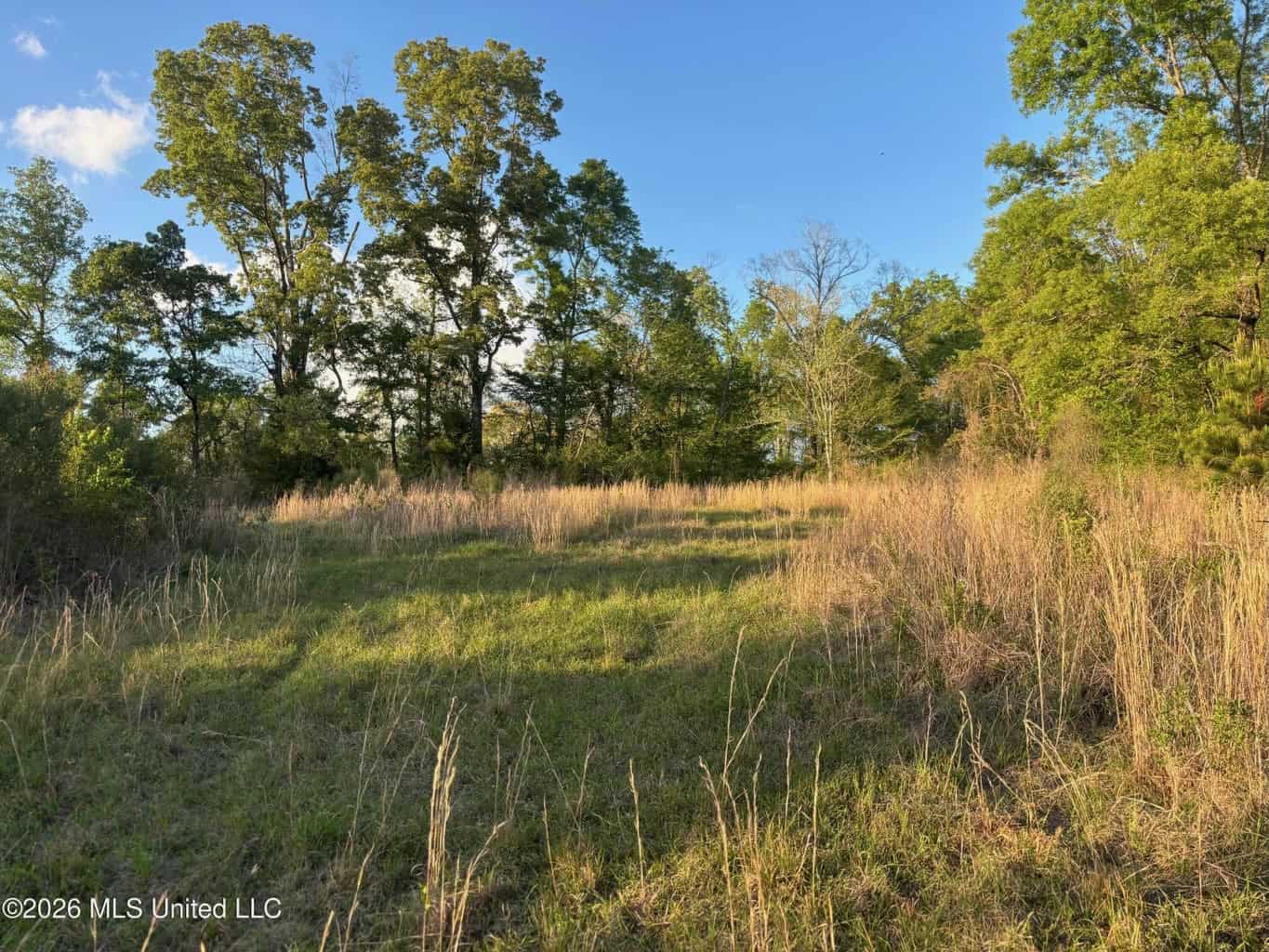 77 Acres in Edwards, MS Hinds County Big Black River Region