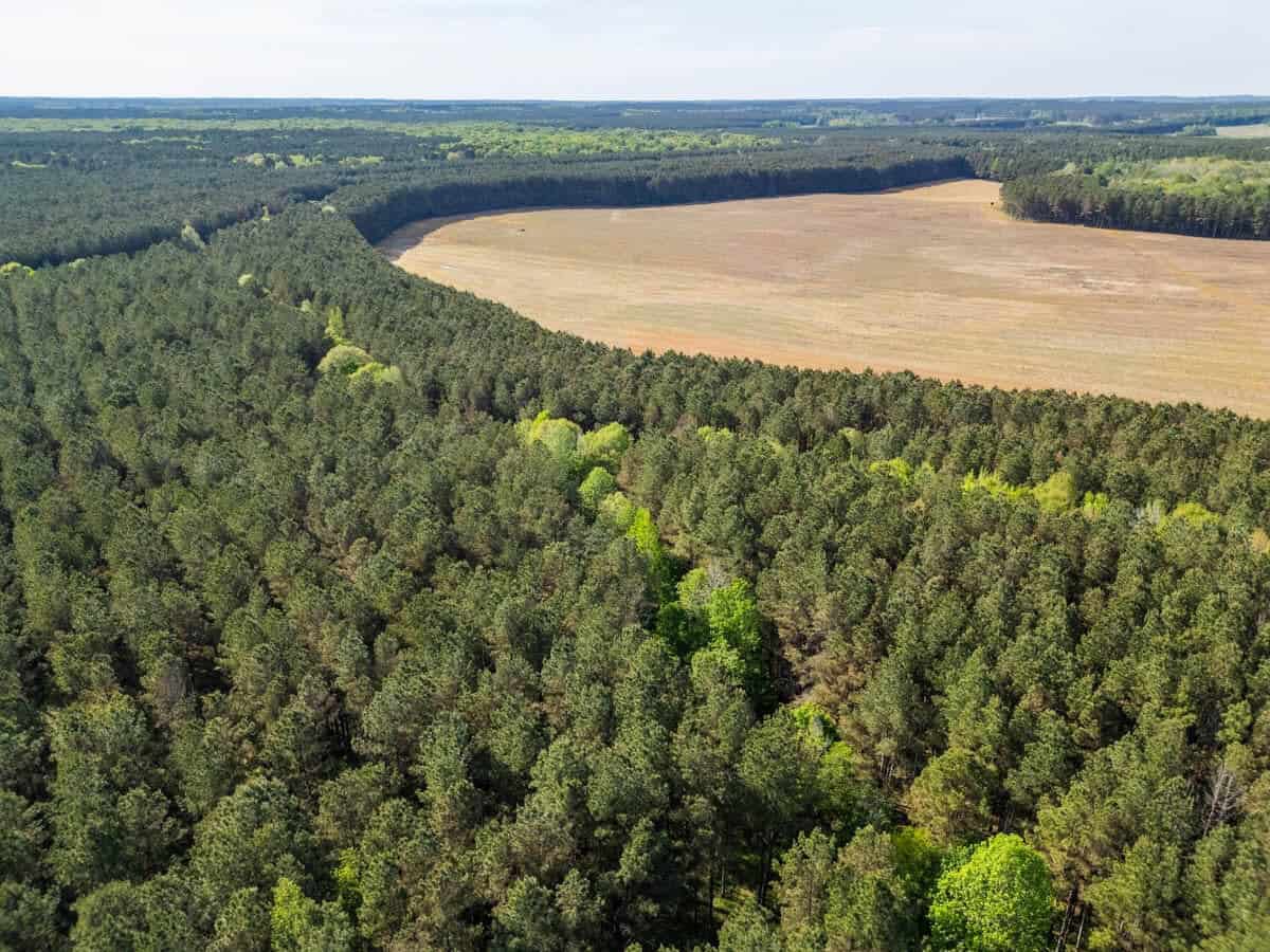 455 Acres Hunting & Income Land in Choctaw County MS