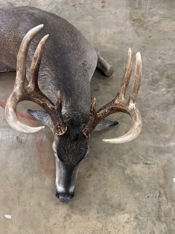 1,196+/- Acre Deer & Duck Hunting Paradise Tensas Parish, LA