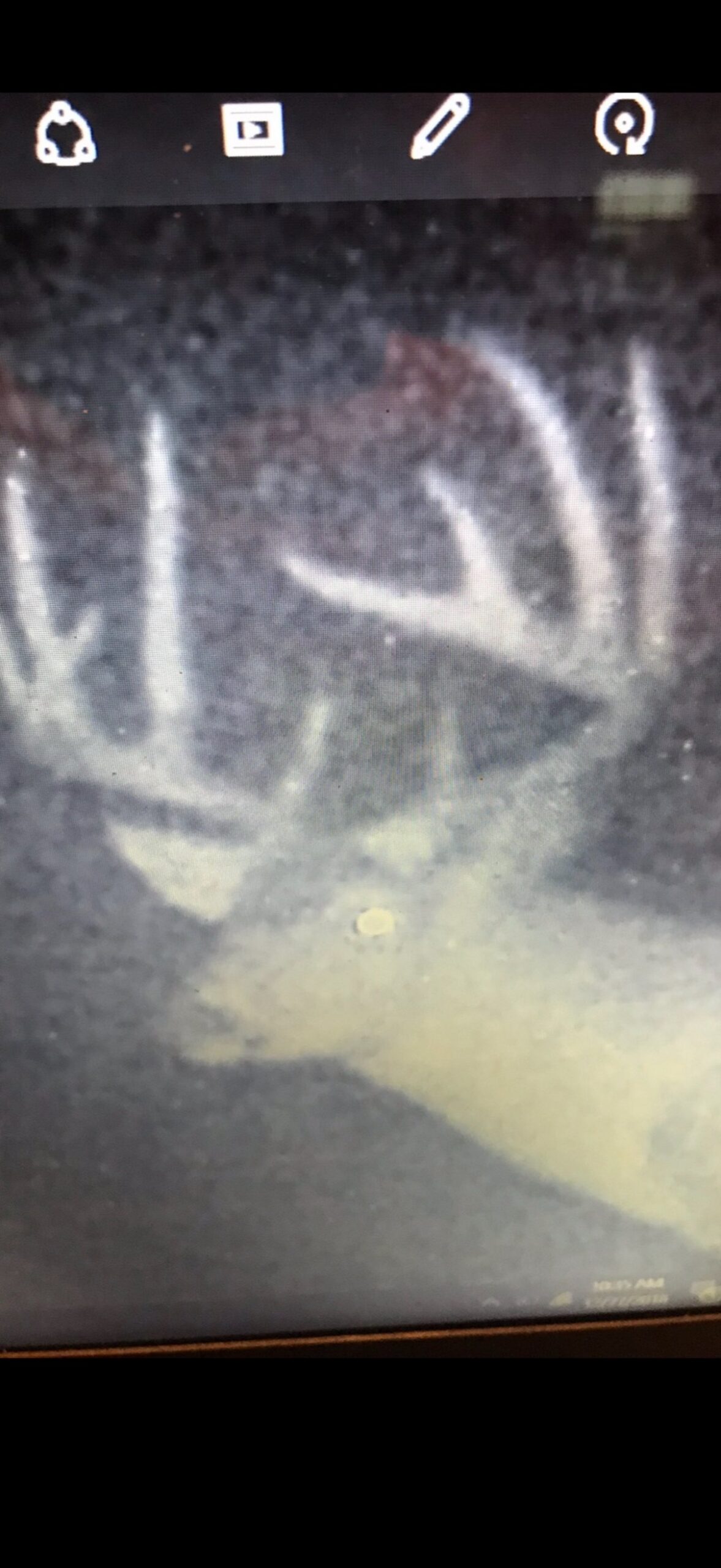 330+/- Acre Deer and Duck Hunting Property with a Camp