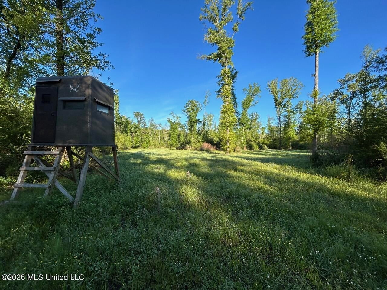 266± Acres Hinds/Copiah Line with Creek and Income