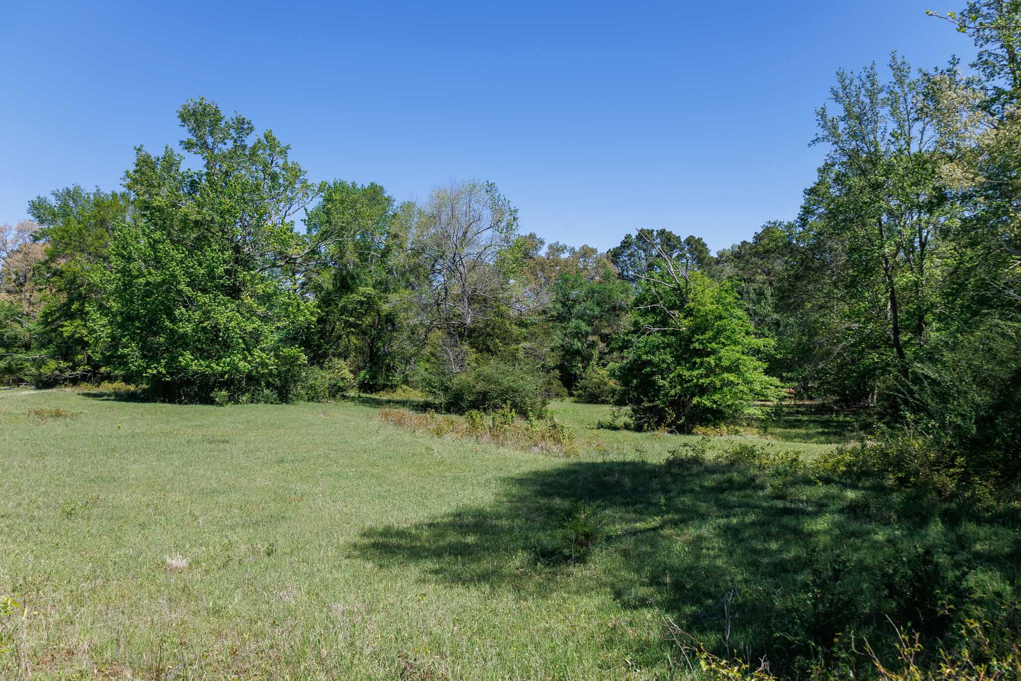 31.74 Acre Recreational Ranch Near Bullard in Smith County TX