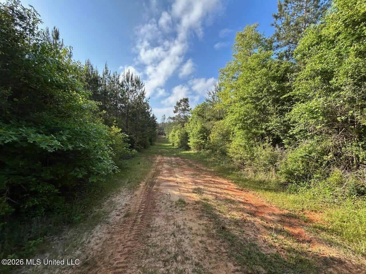 46 Acres in St. Helena Parish, LA Hunting Property for Sale
