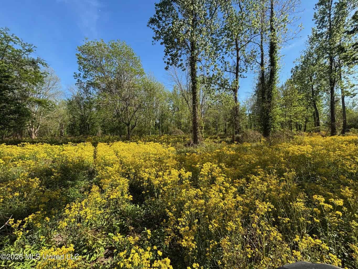 Duckport Legacy Waterfowl and Whitetail Recreational Tract