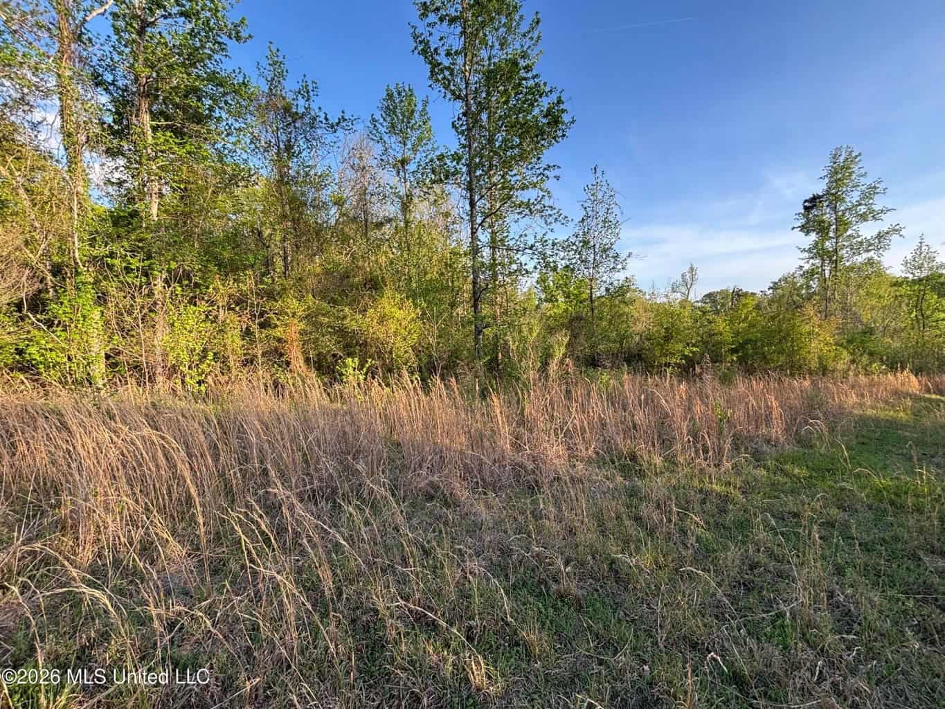 77 Acres in Edwards, MS Hinds County Big Black River Region